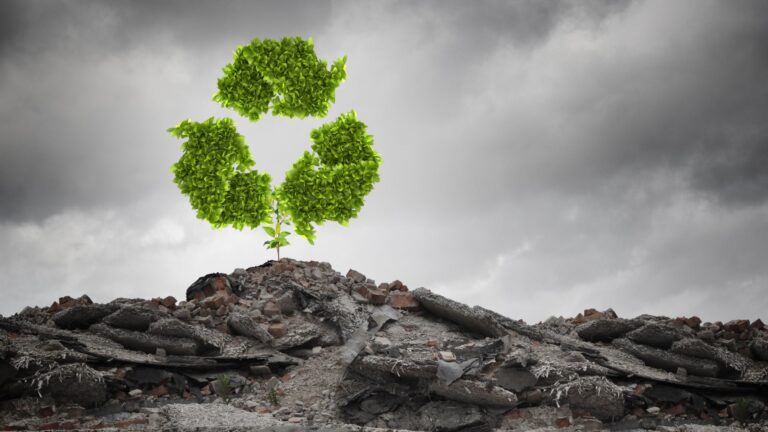 Przesyłkowa ekologia – wyzwania i promocja idei eco-commerce