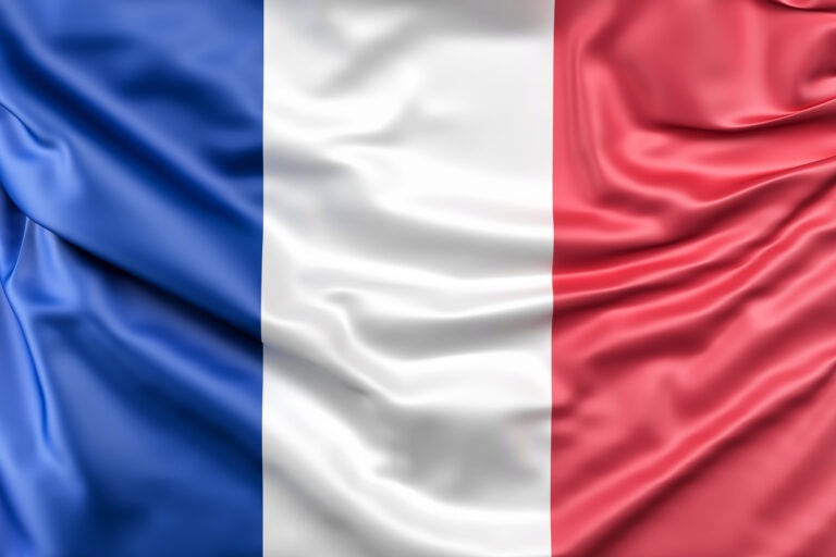 Sprzedaż w internecie: elektroniczny handel we Francji w 2022 roku pod lupą
